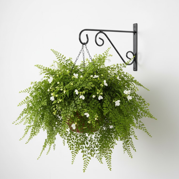 Classic Scroll Steel Wall Hanger