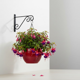 Classic Scroll Steel Wall Hanger