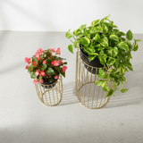 Rose Gold Urban Cage Planters (Set of 2)