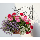 Classic Scroll Steel Wall Hanger