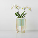 Pearl Mist Steel Planter