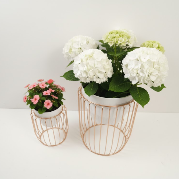 White & Rose Gold Luxe Cage Planters Set of 2