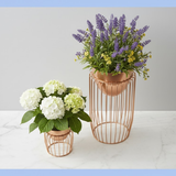 Classic Copper Cage Steel Planters Set of 2