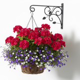 Leaf Scroll Steel Wall Hanger