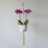 Boho Macramé Hanging Steel Planters