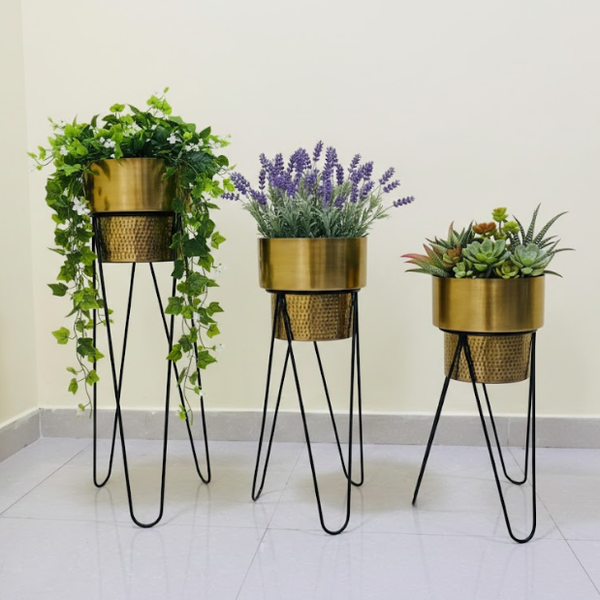 Premium Golden Steel Planter Set with Designer Stand – Set of 3