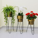 Premium Golden Steel Planter Set with Designer Stand – Set of 3
