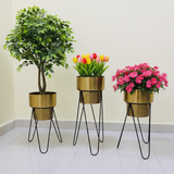 Premium Golden Steel Planter Set with Designer Stand – Set of 3
