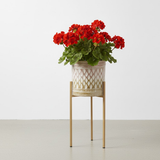 Luxe Lattice Steel Planters Set of 3