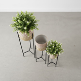 Luxe Lattice Steel Planters Set of 3