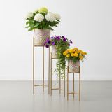 Tall Gold Metal Planters – Set of 3