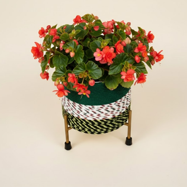 Tall Macramé Colorway Steel Planters