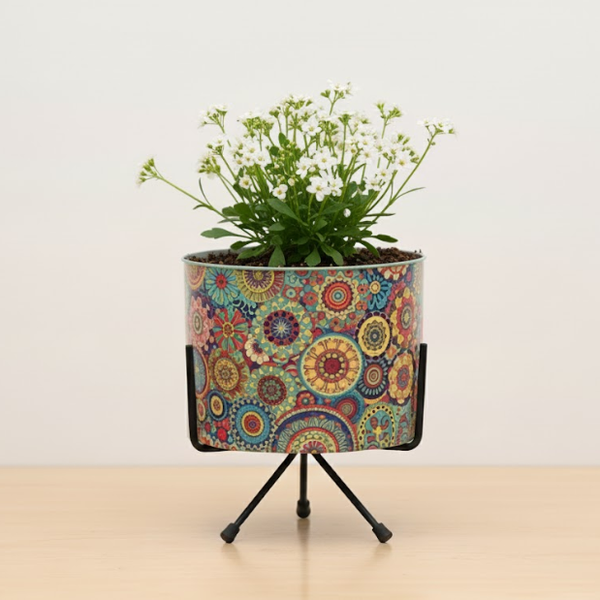Designer Iron Pots with Stand