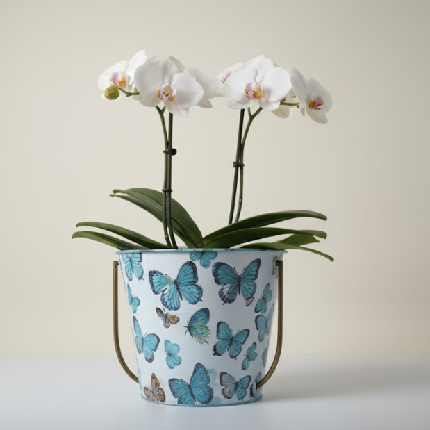 Elegant Iron Pots with Stand