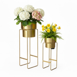 Luxe All-Gold Steel Planter  set