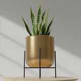 Premium Gold Finish Steel Planter with Stand
