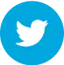 Social Icon 4
